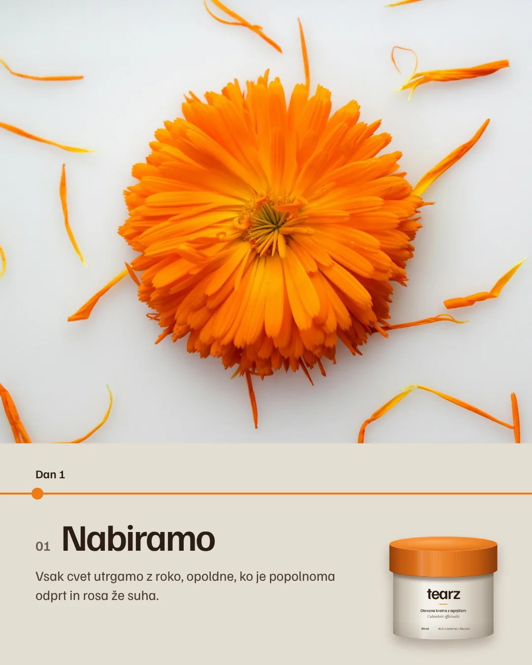Slajd 2: Nabiramo